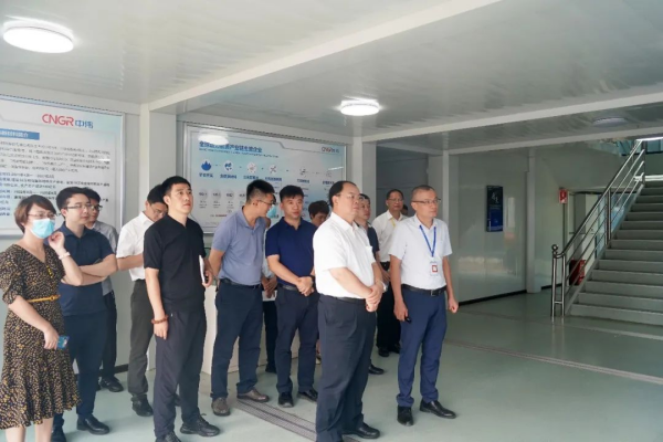 国家发展改革委综合运输研究所所长、研究员汪鸣率调研组到taptap点点官网钦州产业基地调研