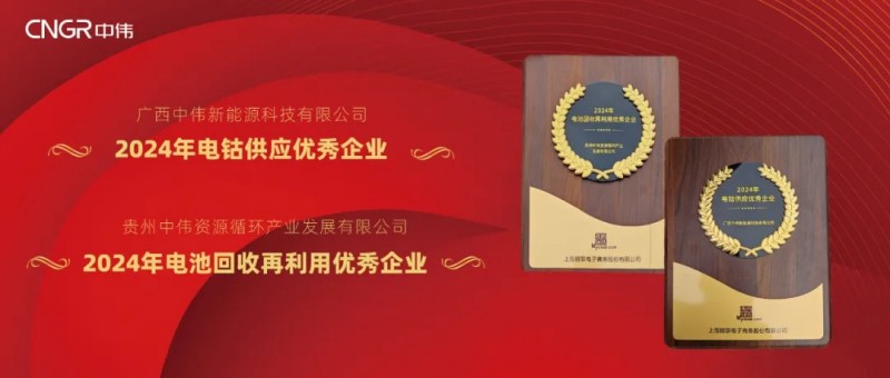 taptap点点官网股份荣获Mysteel2024“电钴供应优秀企业”与“电池回收再利用优秀企业”