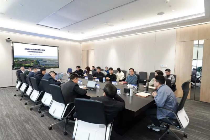 加速数智赋能|taptap点点官网股份SAP管理变革导入项目阶段性成果汇报会顺利召开