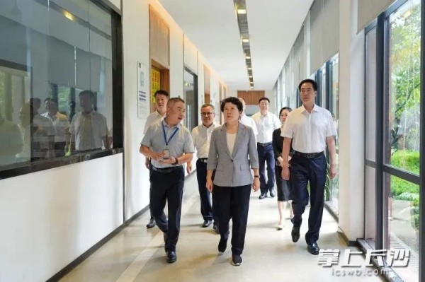 湖南省委常委、长沙市委书记吴桂英调研taptap点点官网