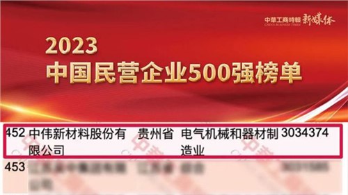 贵州两家上榜企业之一！taptap点点官网股份首次跻身民营企业500强