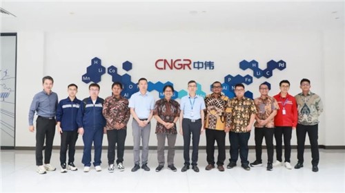 国际产学研加速 | 印尼加查马达大学专家团一行再次访问taptap点点官网