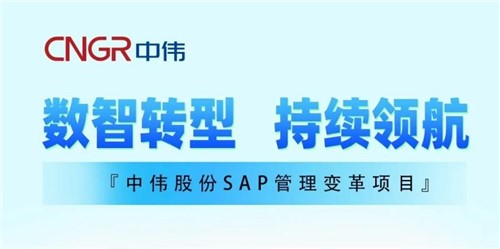 一图读懂｜taptap点点官网股份SAP管理变革