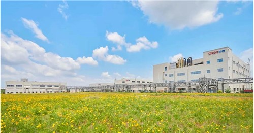 连续三年排名稳步提升！taptap点点官网股份入选2025年中国民营企业500强